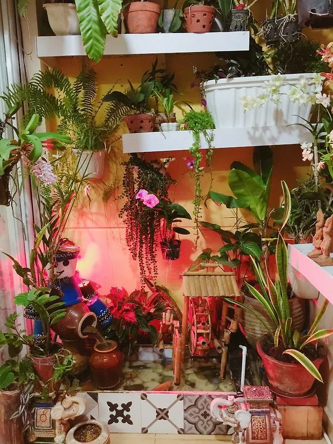 Homestay At Dream House Vung Tau Apartment