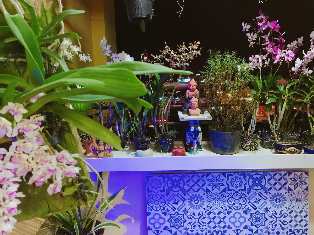 Homestay At Dream House Vung Tau 0*,